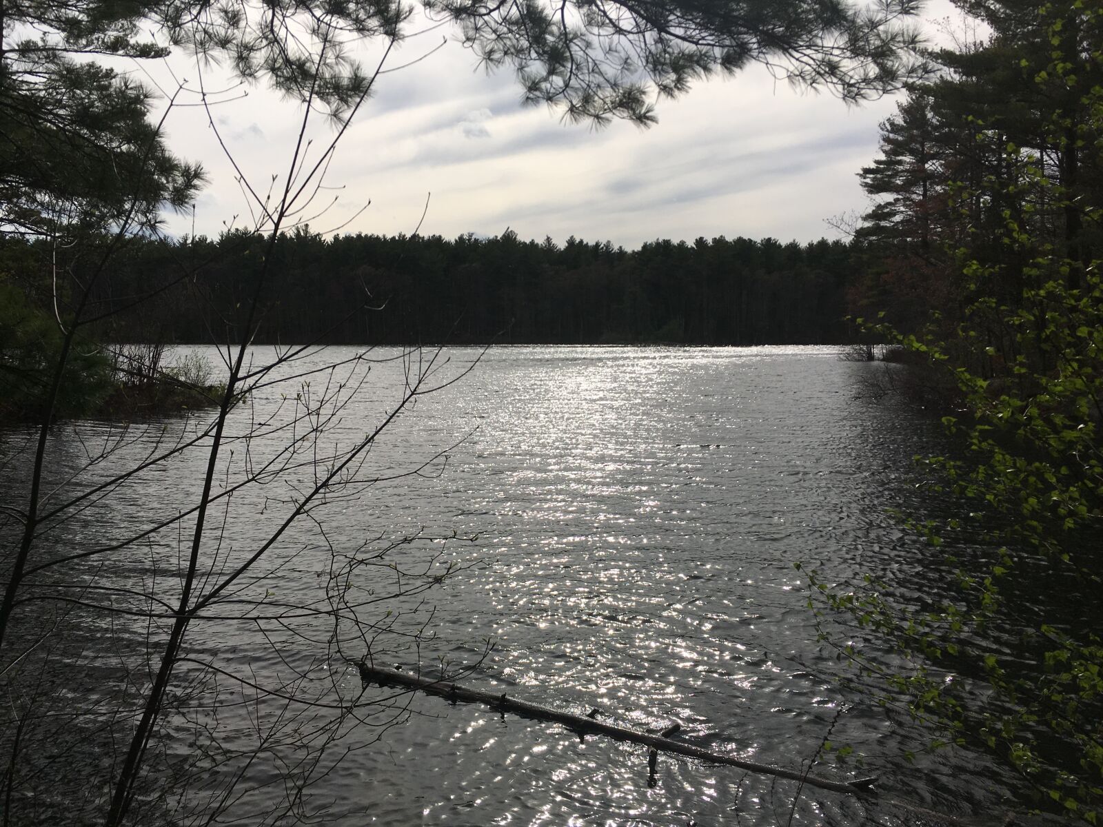 iPhone SE back camera 4.15mm f/2.2 sample photo. Boston, middlesex, hiking photography