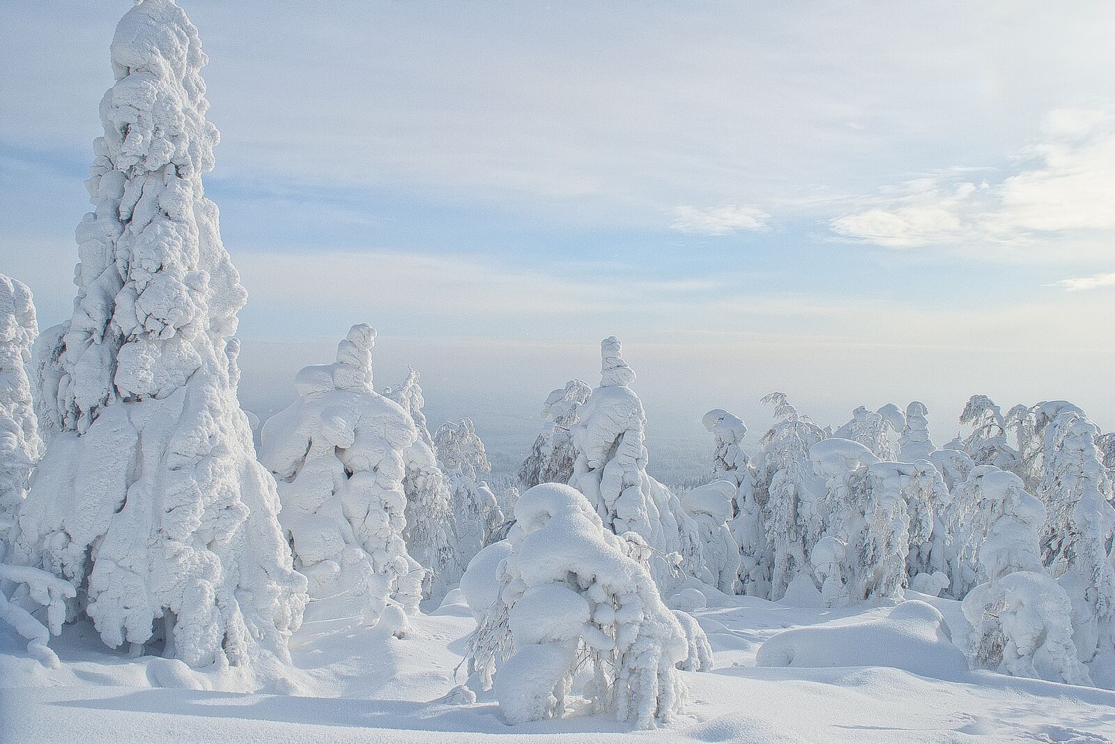 Nikon D5000 sample photo. Winter, russia, snow photography