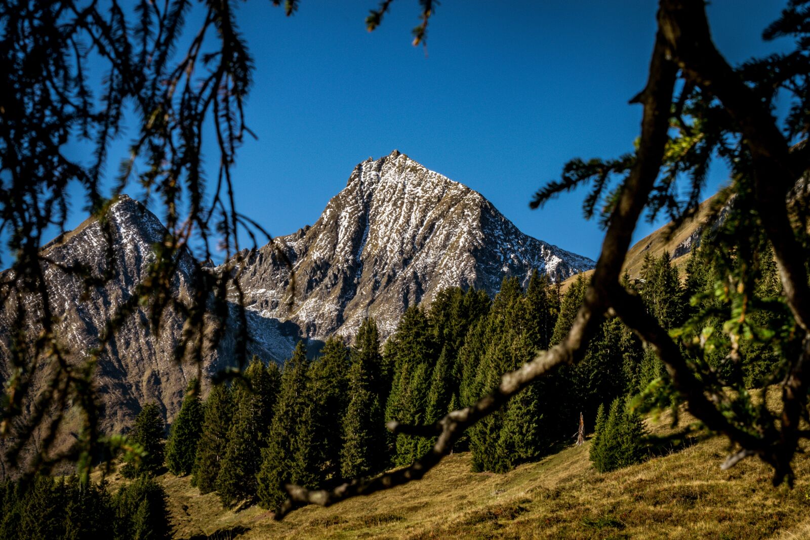 Nikon D3300 sample photo. Switzerland, mountain, landscape photography