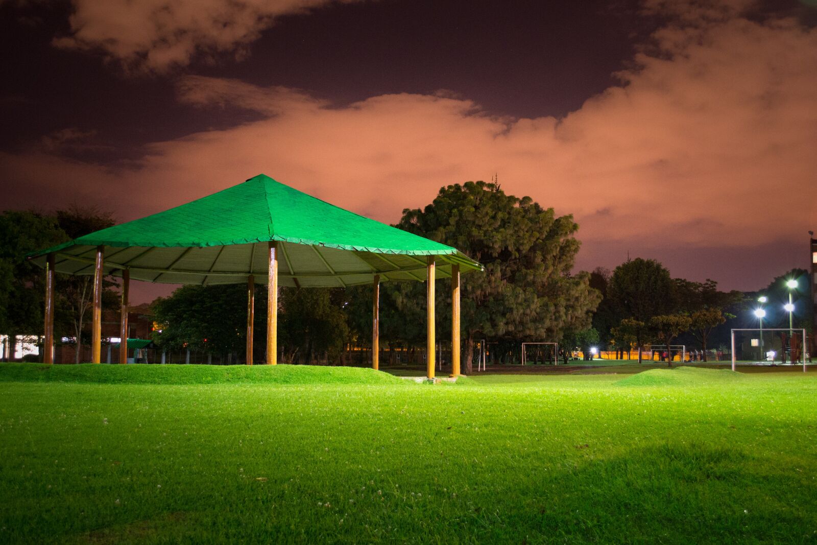 Nikon D3100 sample photo. Kiosk, green, light photography