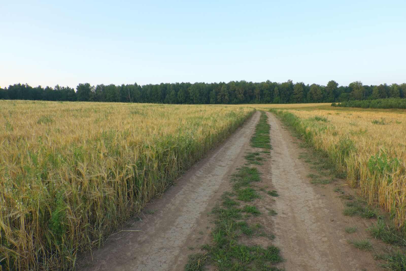 Fujifilm XC 16-50mm F3.5-5.6 OIS II sample photo. Summer, field, road photography