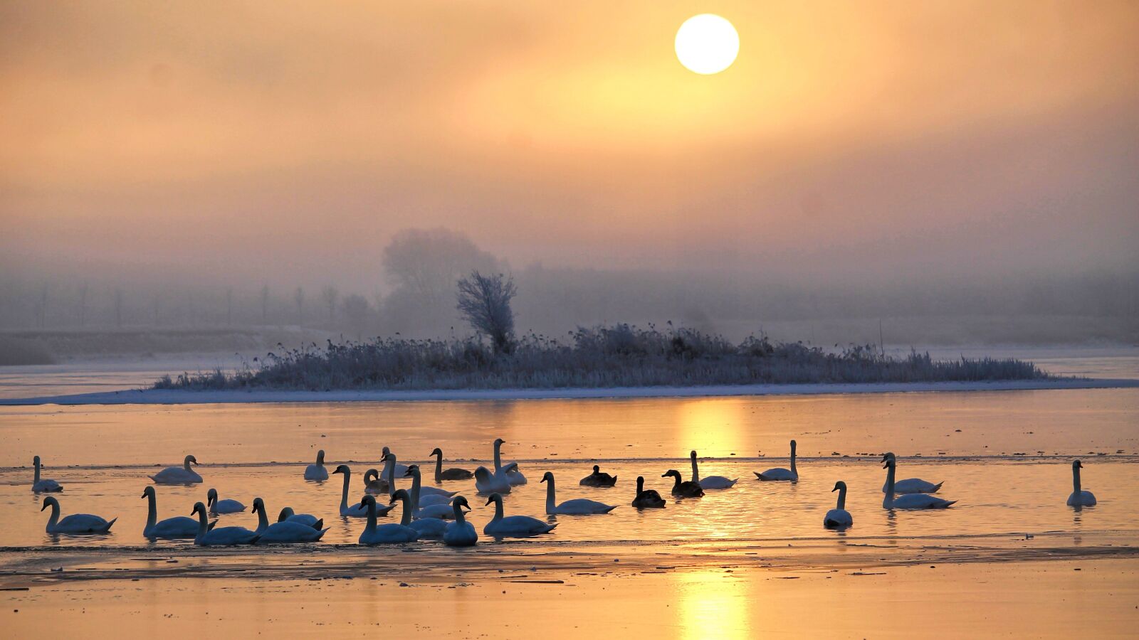 Canon EF-S 55-250mm F4-5.6 IS STM sample photo. Sunrise, skies, foggy photography