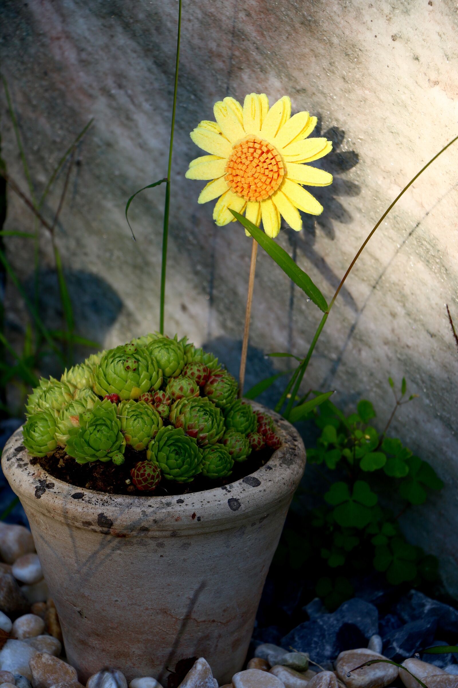 Canon EOS 70D sample photo. Pot, stone garden, arrangement photography