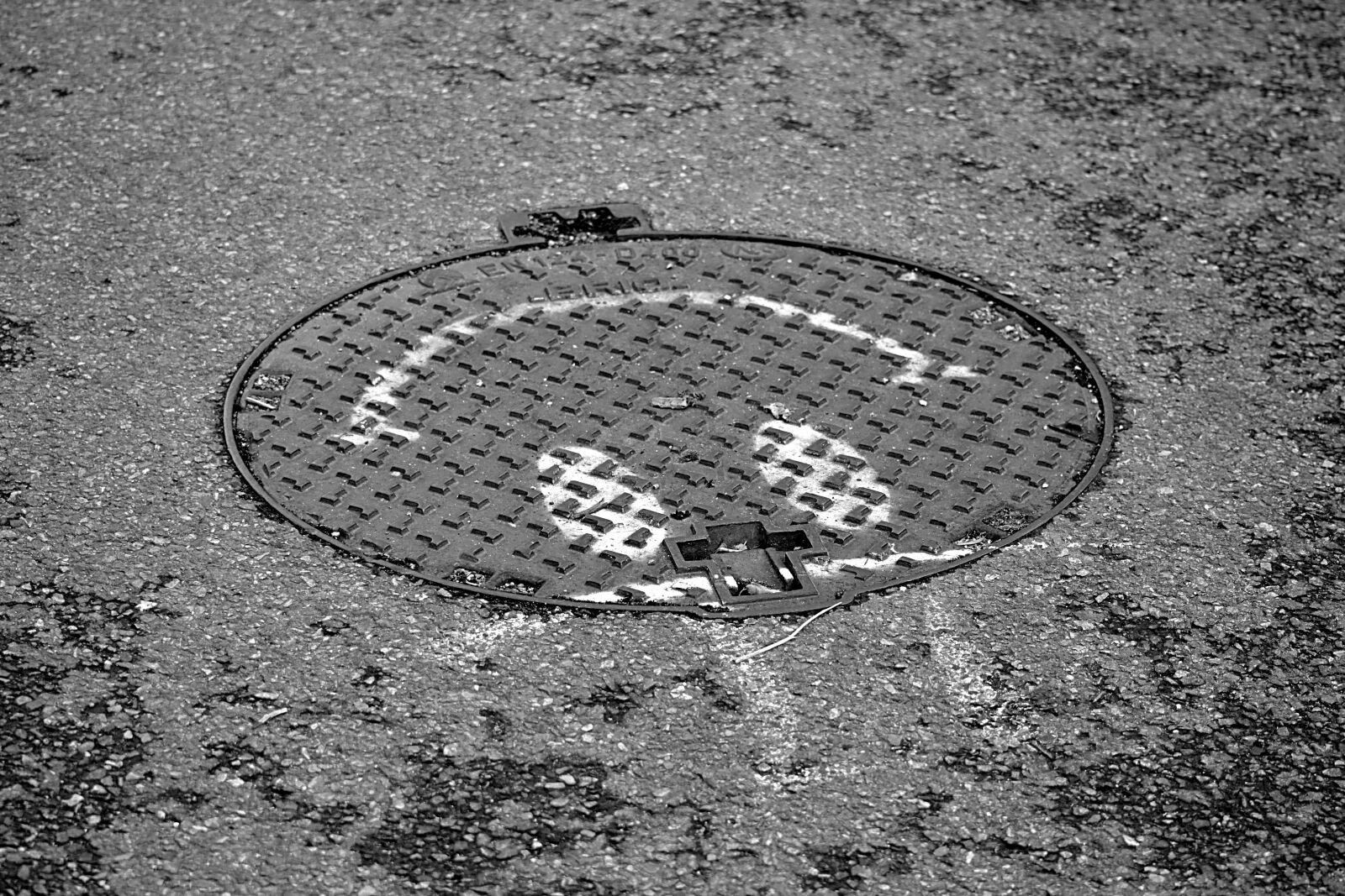 Nikon D5200 sample photo. Plate sewer, metal, cast photography
