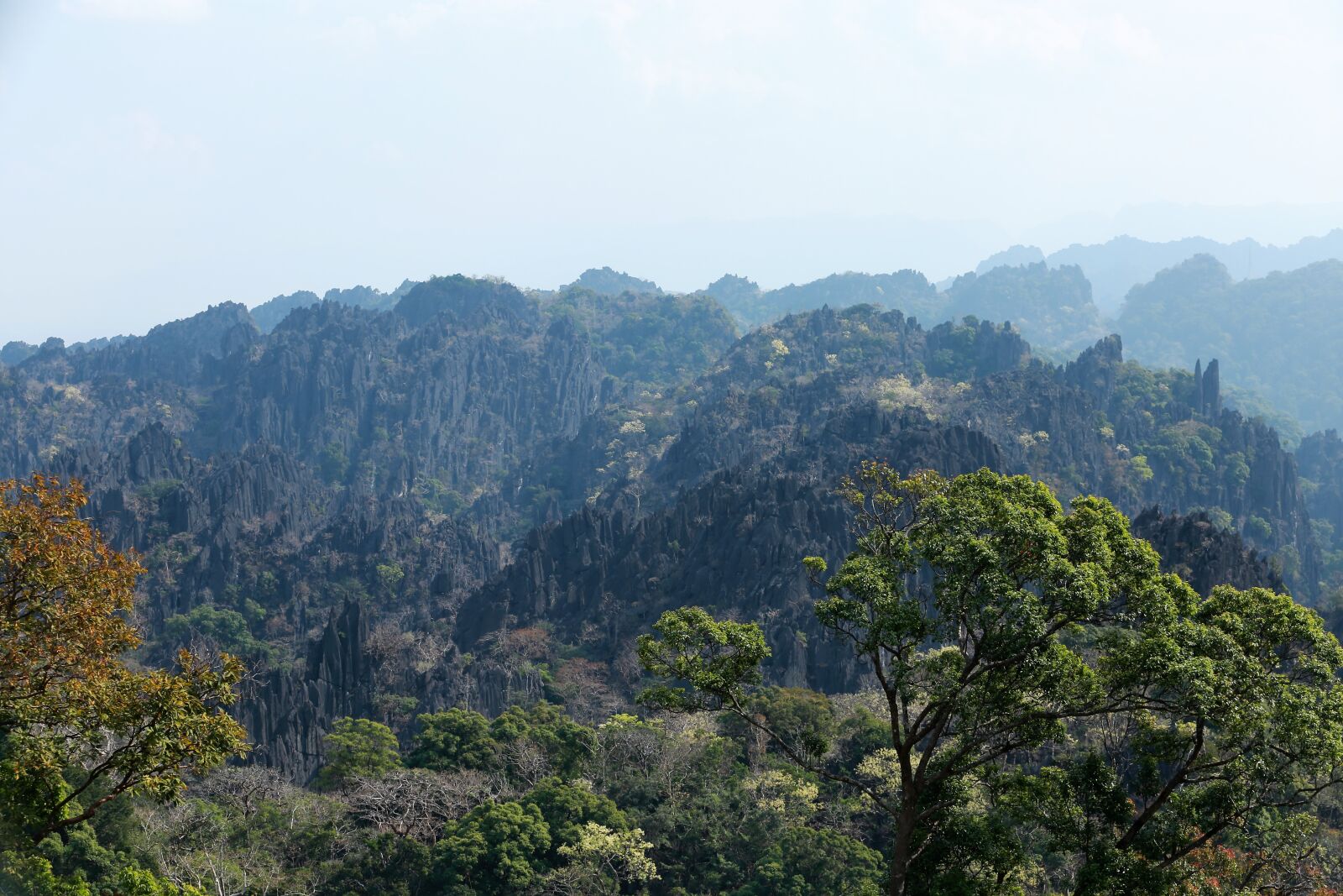 Canon EOS 6D sample photo. Laos, limestone forest, the photography