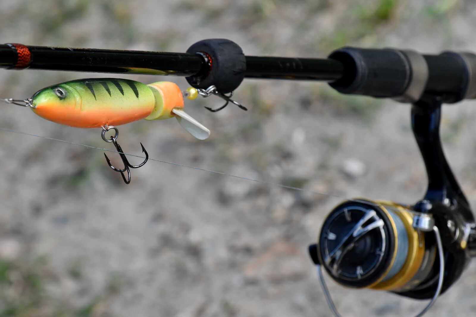 Nikon D5500 sample photo. Bait, fishing gear, fishing photography