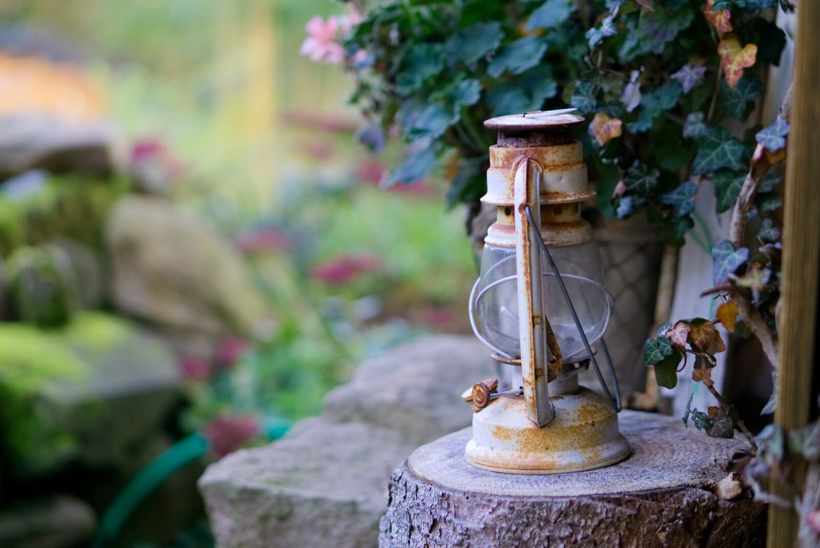 E 50mm F1.8 OSS sample photo. Kerosene lamp, lamp, antique photography