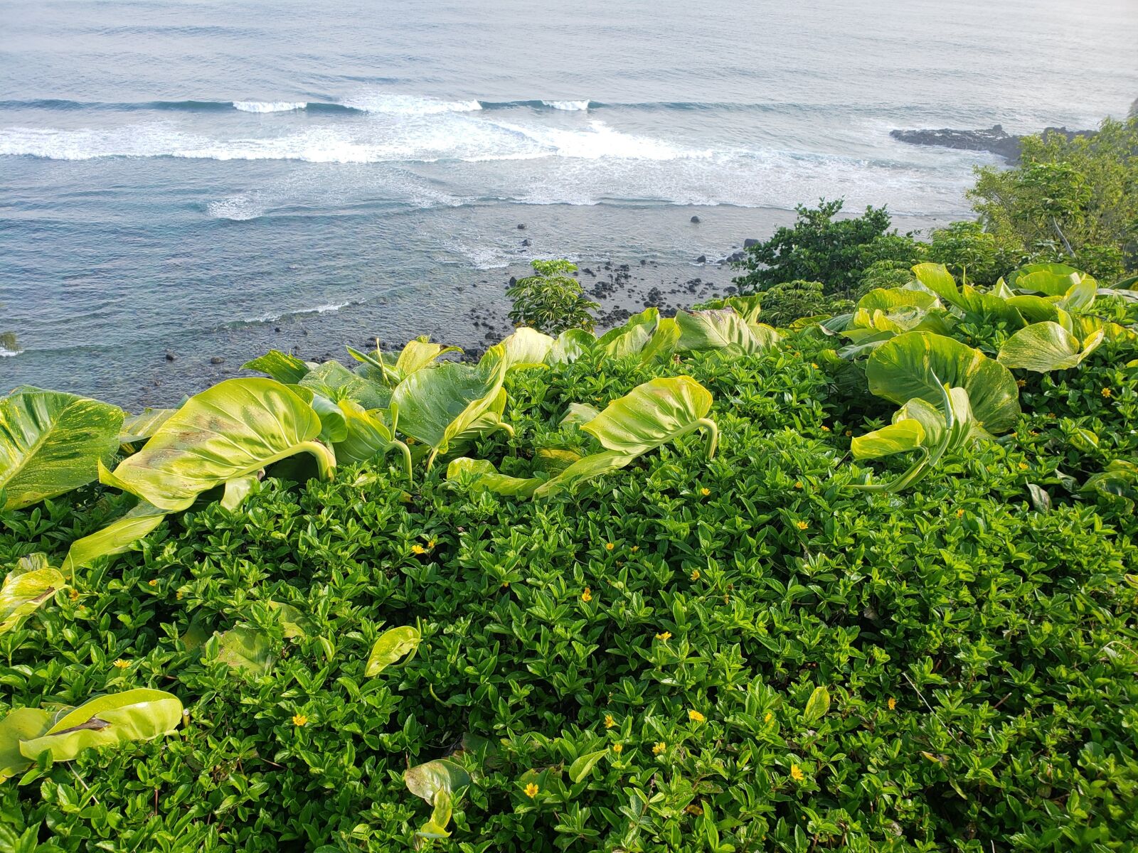 Samsung Galaxy S9+ sample photo. Hawaii, water, scenic photography