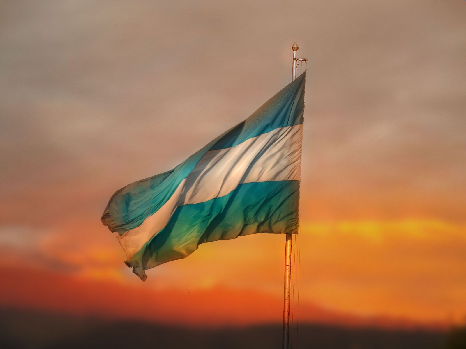 Nikon Coolpix L820 sample photo. Flag, argentina, home photography