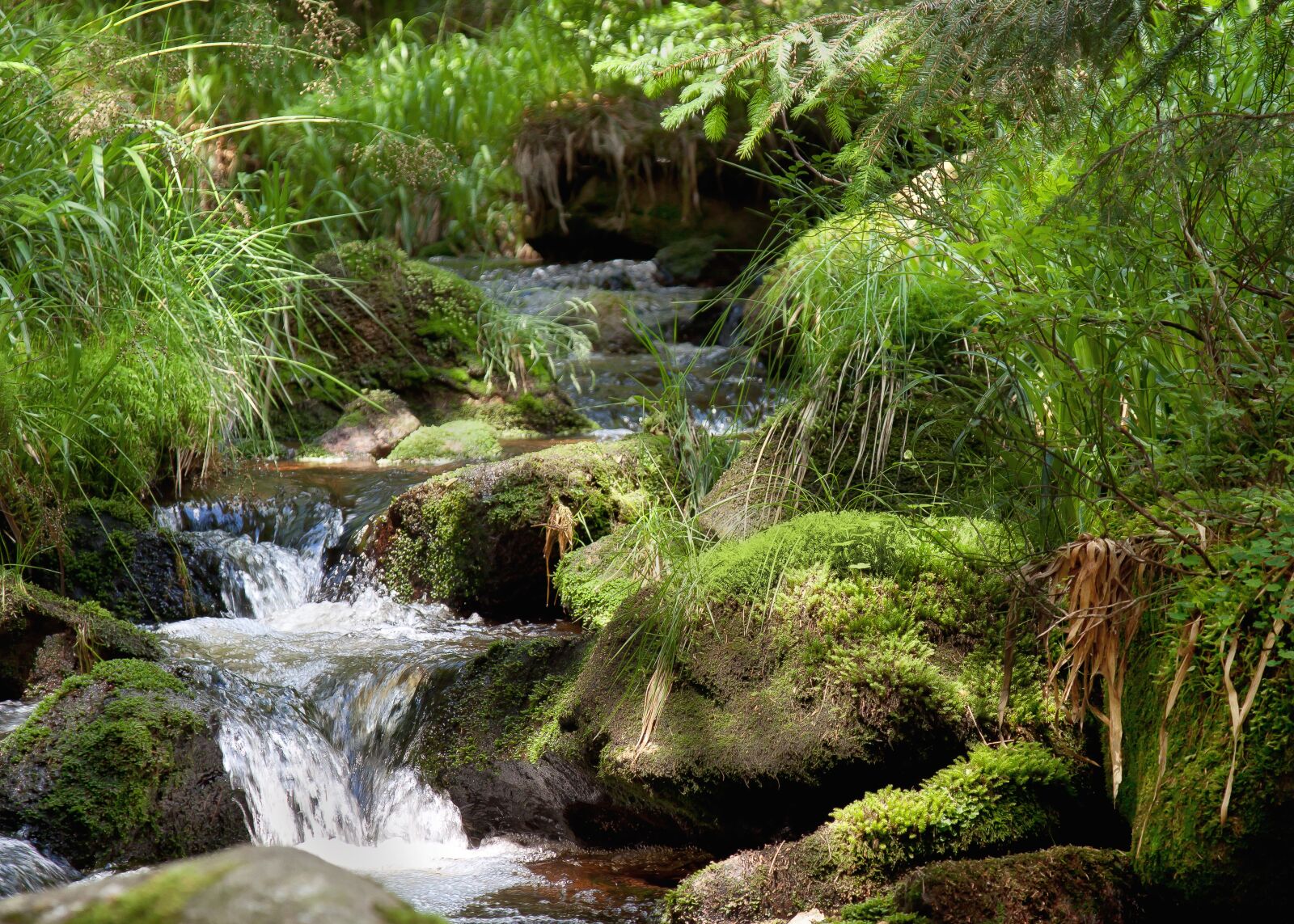 Canon EOS 50D + Canon EF 24-105mm F4L IS USM sample photo. River, waterfall, bach photography