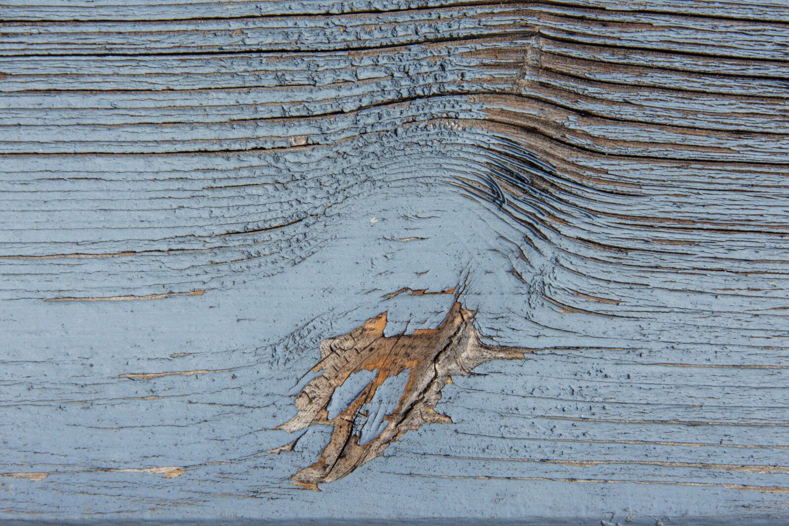 Nikon D7200 sample photo. Wood, board, texture photography