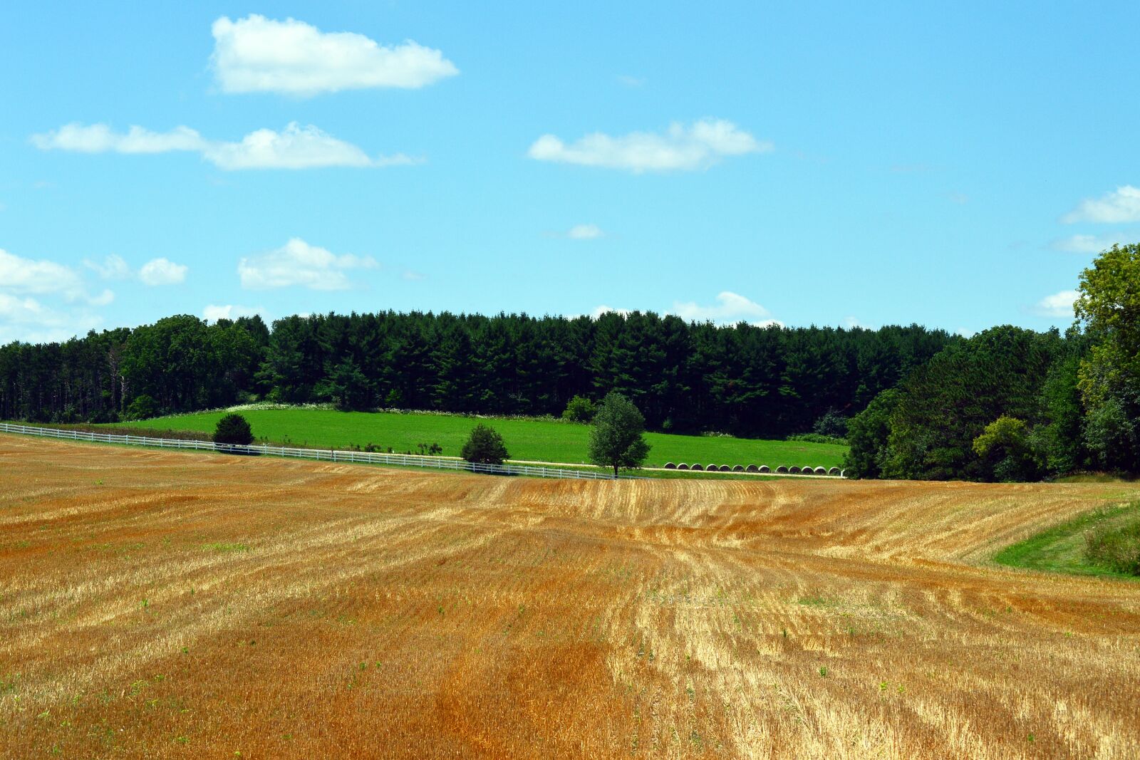 Nikon D3200 sample photo. Farmland, farm field, farm photography