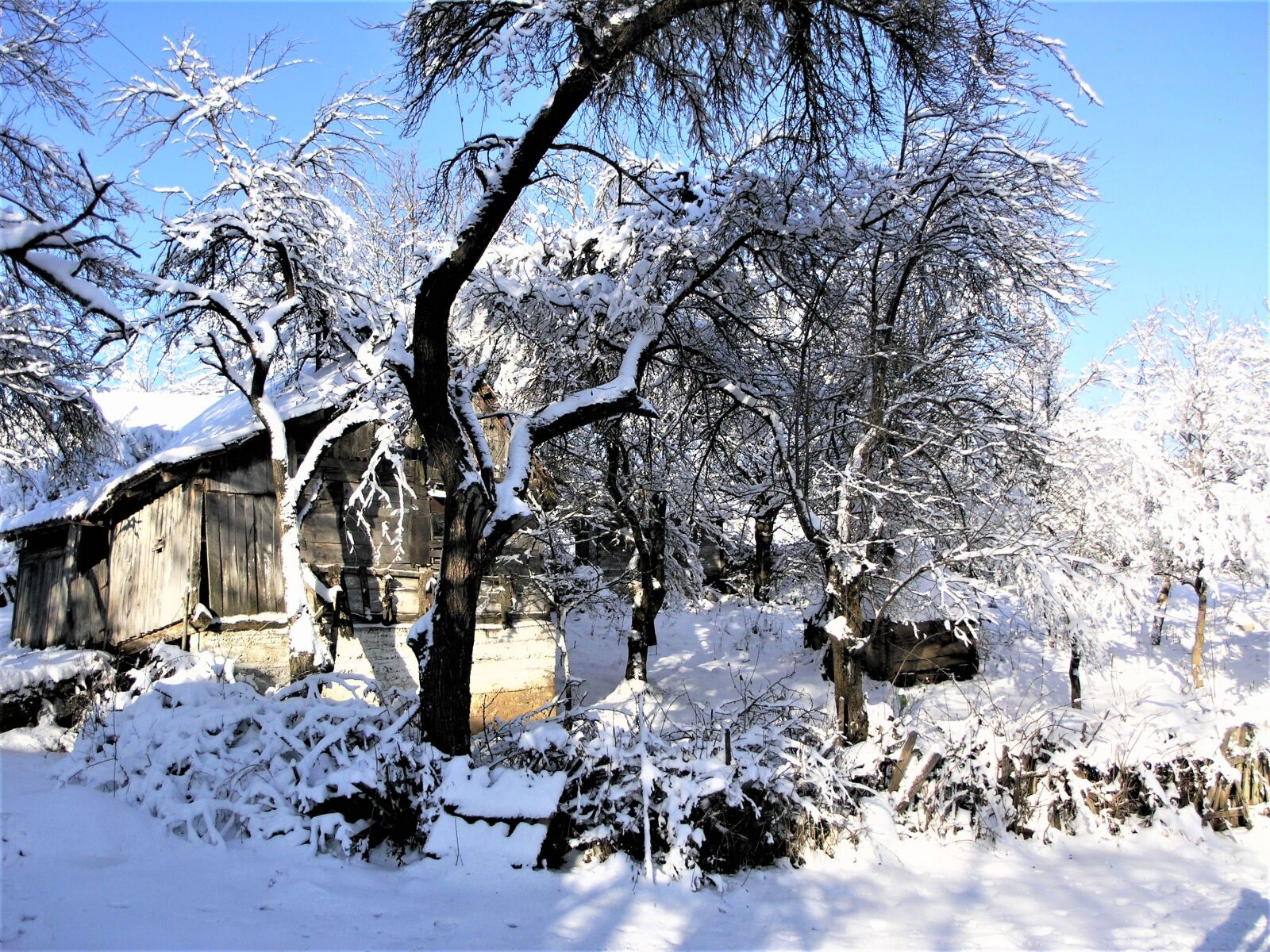 Olympus C8080WZ sample photo. Houses, snow, winter photography