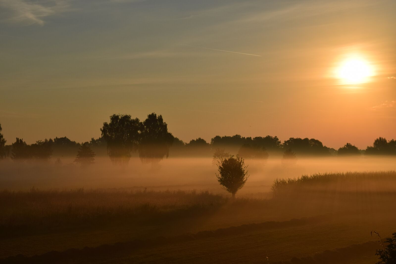 Nikon D3300 sample photo. Sunrise, morning mist, haze photography
