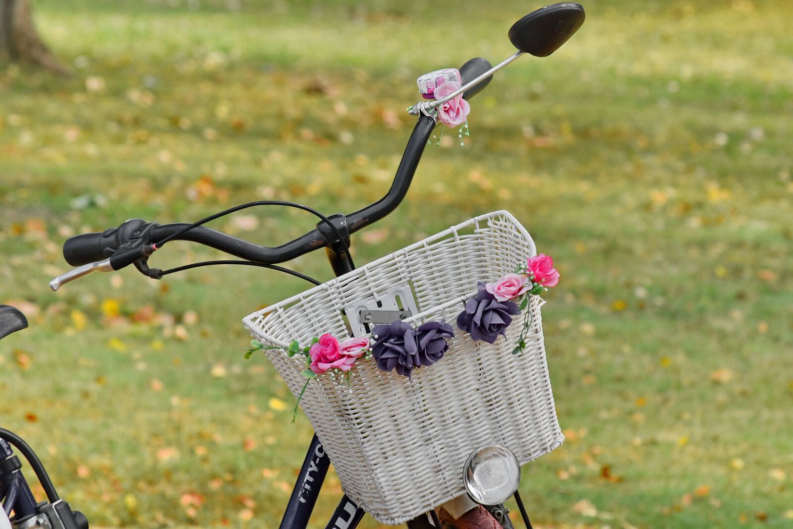 Nikon D5500 sample photo. Bicycle, park, romance, summer photography