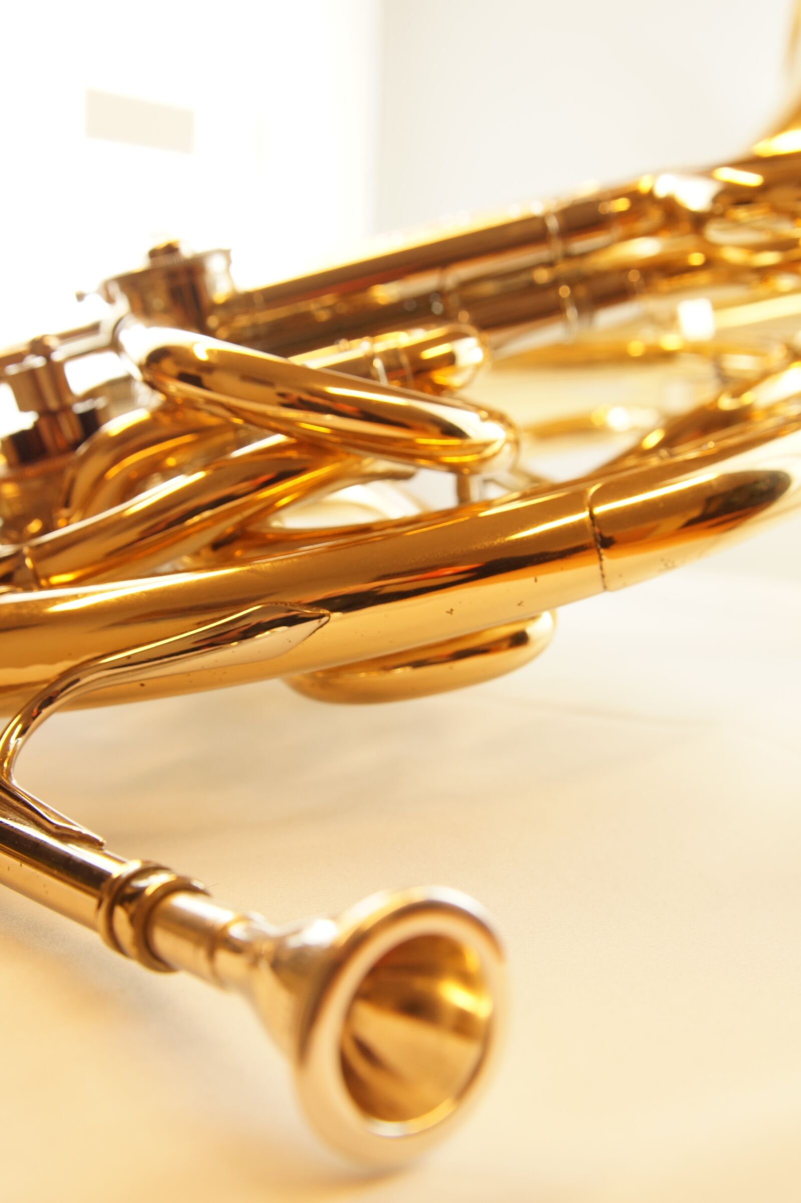 Sony SLT-A58 sample photo. Music, horn, musical instrument photography