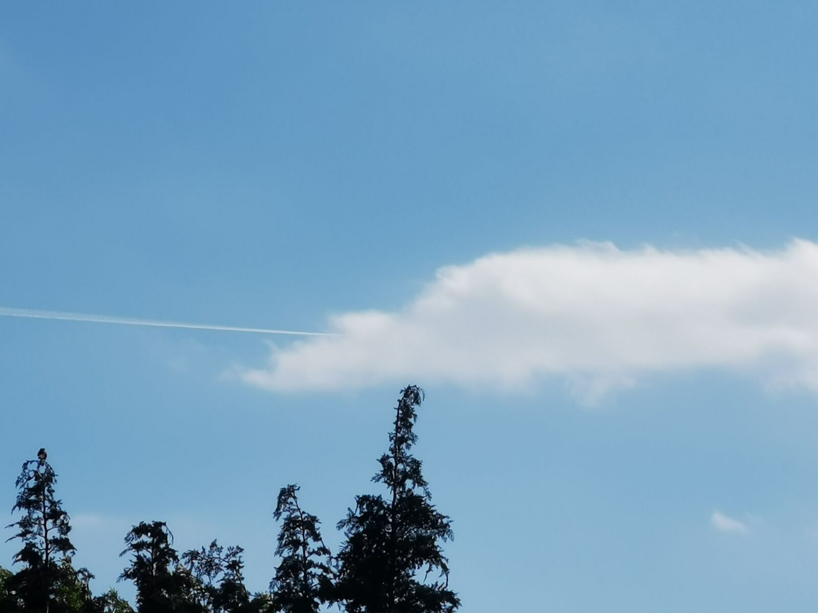 HUAWEI P30 Pro sample photo. Sky, and, clouds photography