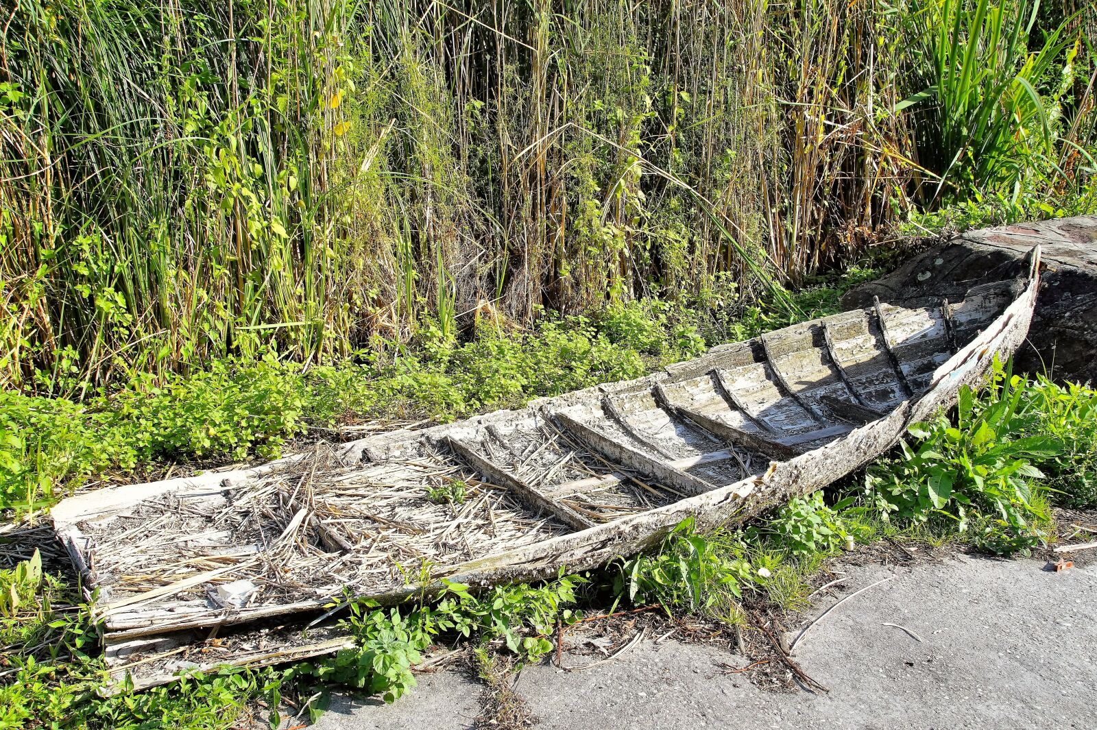 Sony SLT-A58 sample photo. Rowboat, debris, barge photography