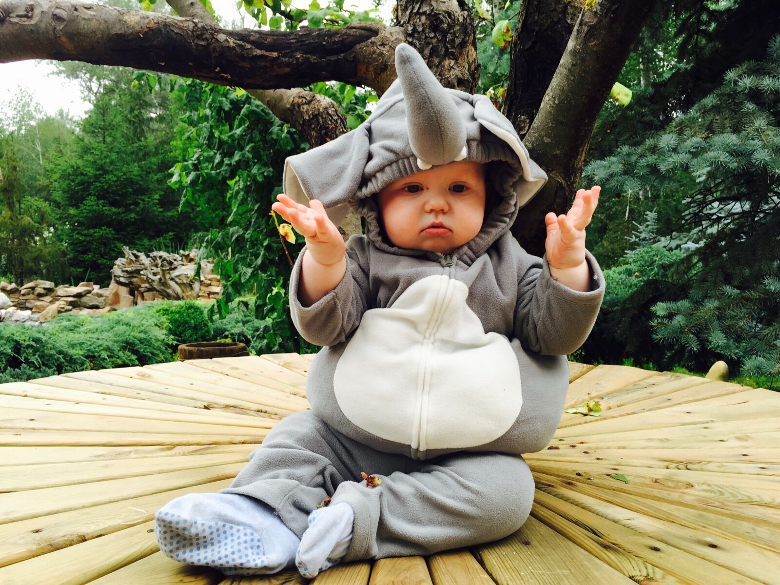 Apple iPhone 6 sample photo. Dacha, elephant, kids photography