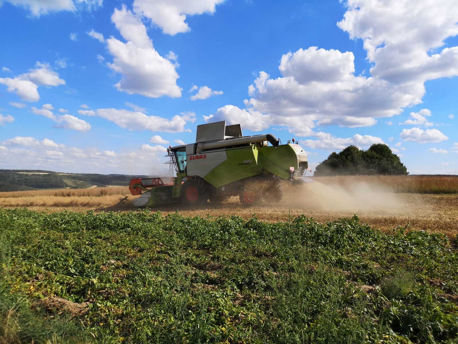 HUAWEI CLT-L29 sample photo. Sky, summer, tractor photography