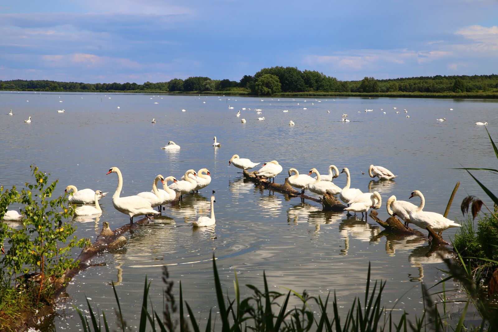 Canon EOS 6D sample photo. Mati, lake, sky photography