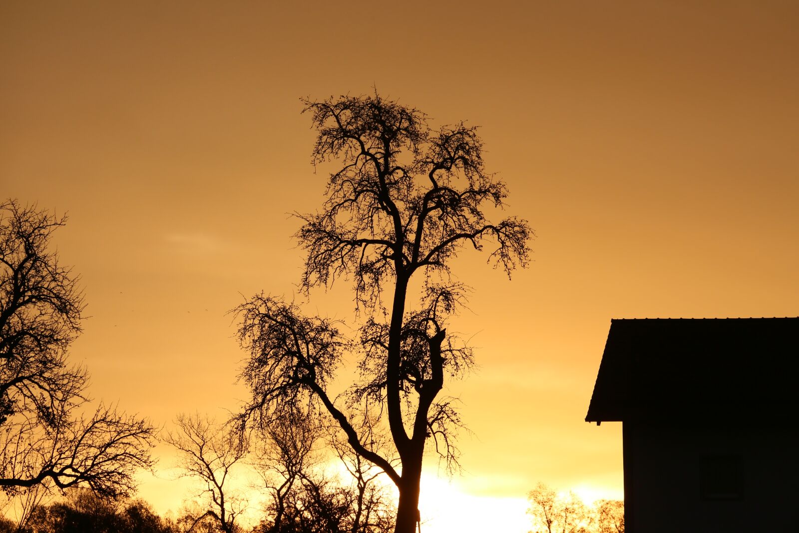 Canon EF 100-400mm F4.5-5.6L IS USM sample photo. Sunset, night crane, sky photography