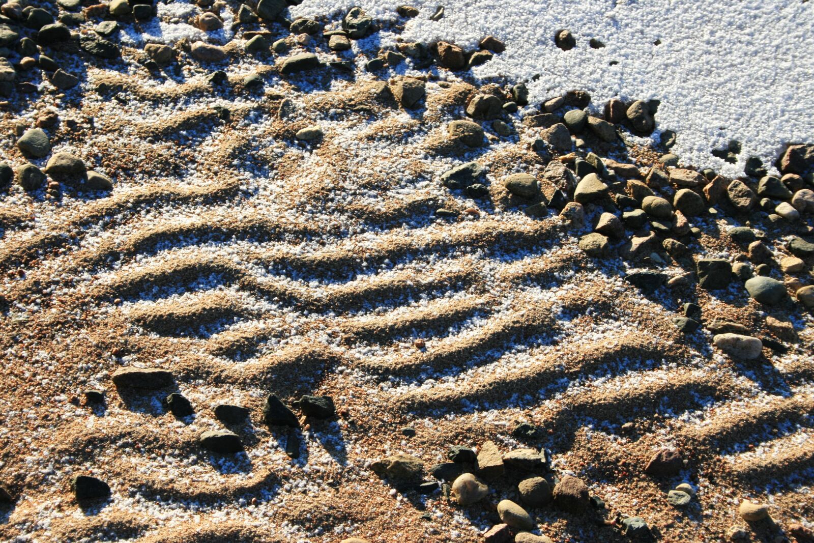 Canon EOS 400D (EOS Digital Rebel XTi / EOS Kiss Digital X) sample photo. Winter, sand, snow photography