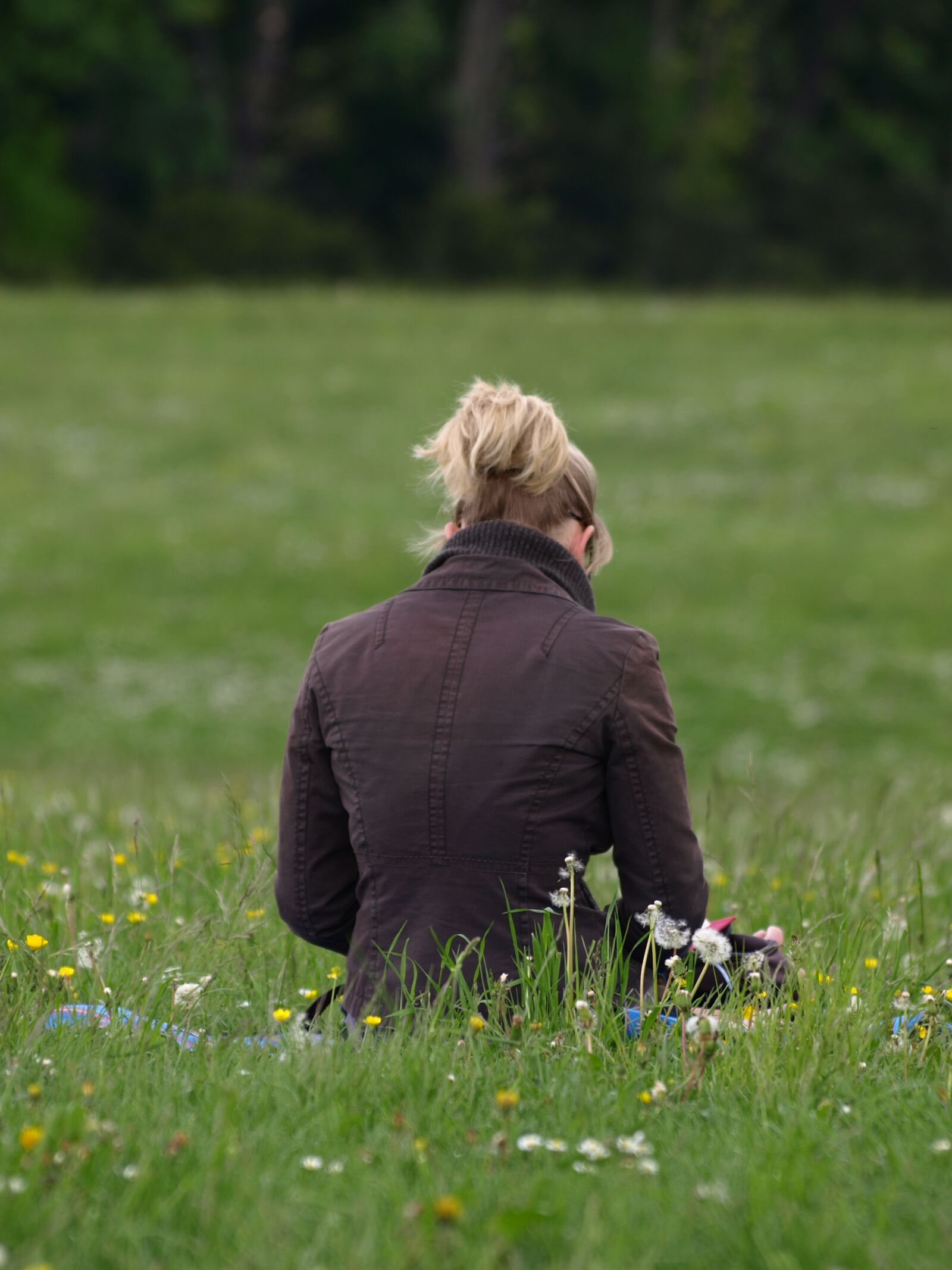 Olympus E-510 (EVOLT E-510) sample photo. Girl, meadow, lady photography