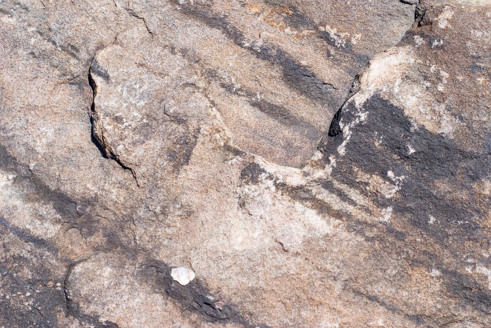 Sony Alpha DSLR-A100 sample photo. Rock, boulder, background photography