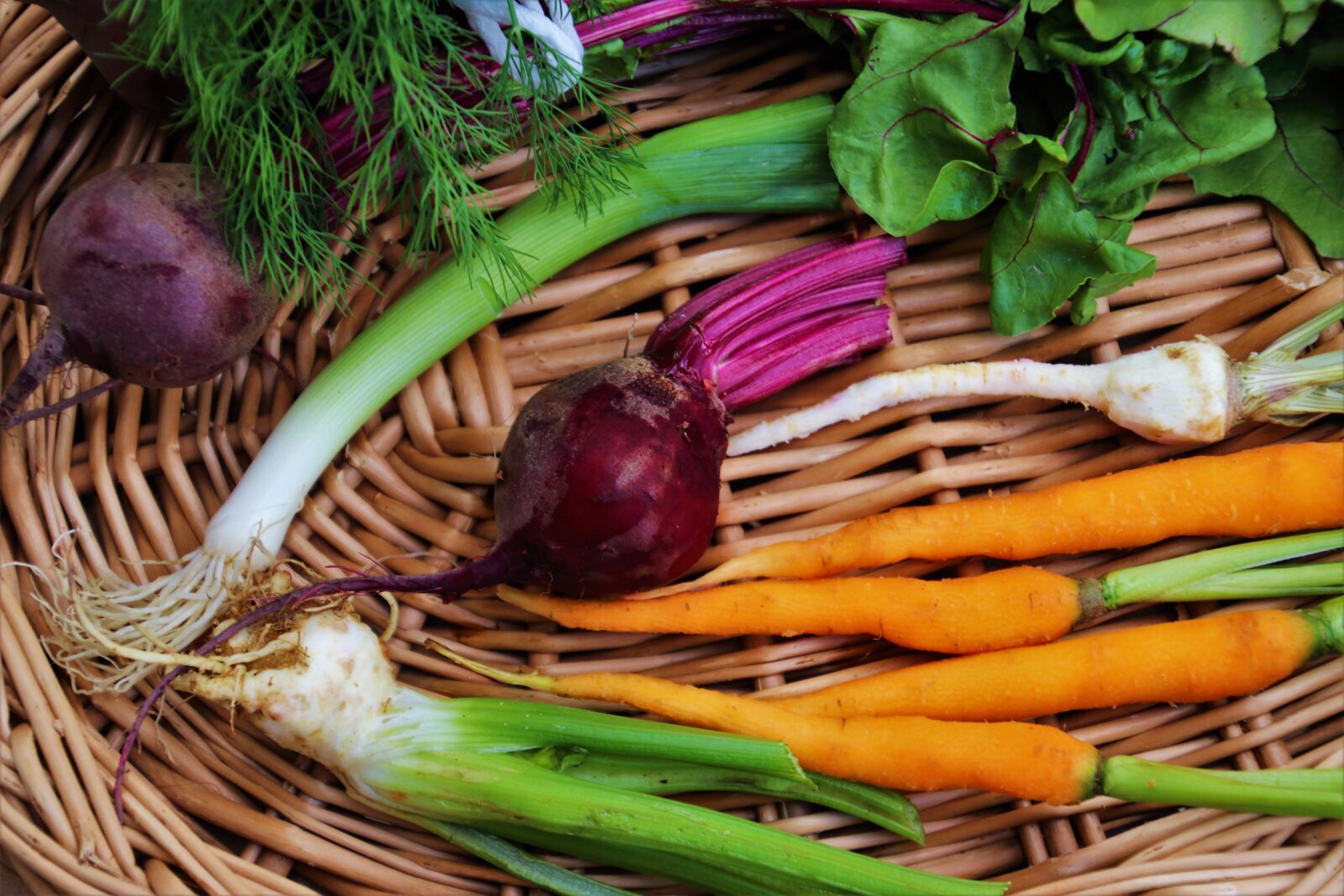 Canon EOS 80D sample photo. Vegetables, bio, healthy photography