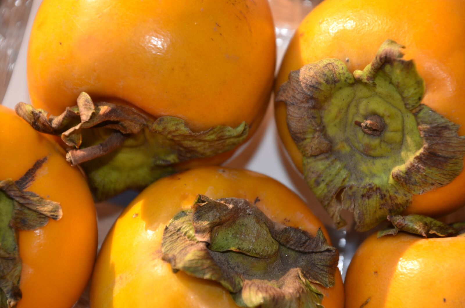Nikon D7000 sample photo. Khaki, apple, fruit photography