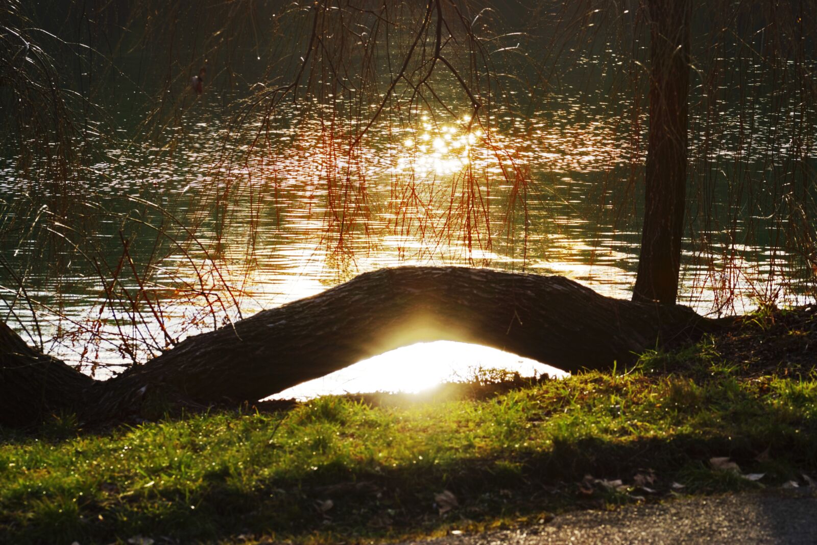 Nikon D5300 sample photo. Landscape, nature, park photography