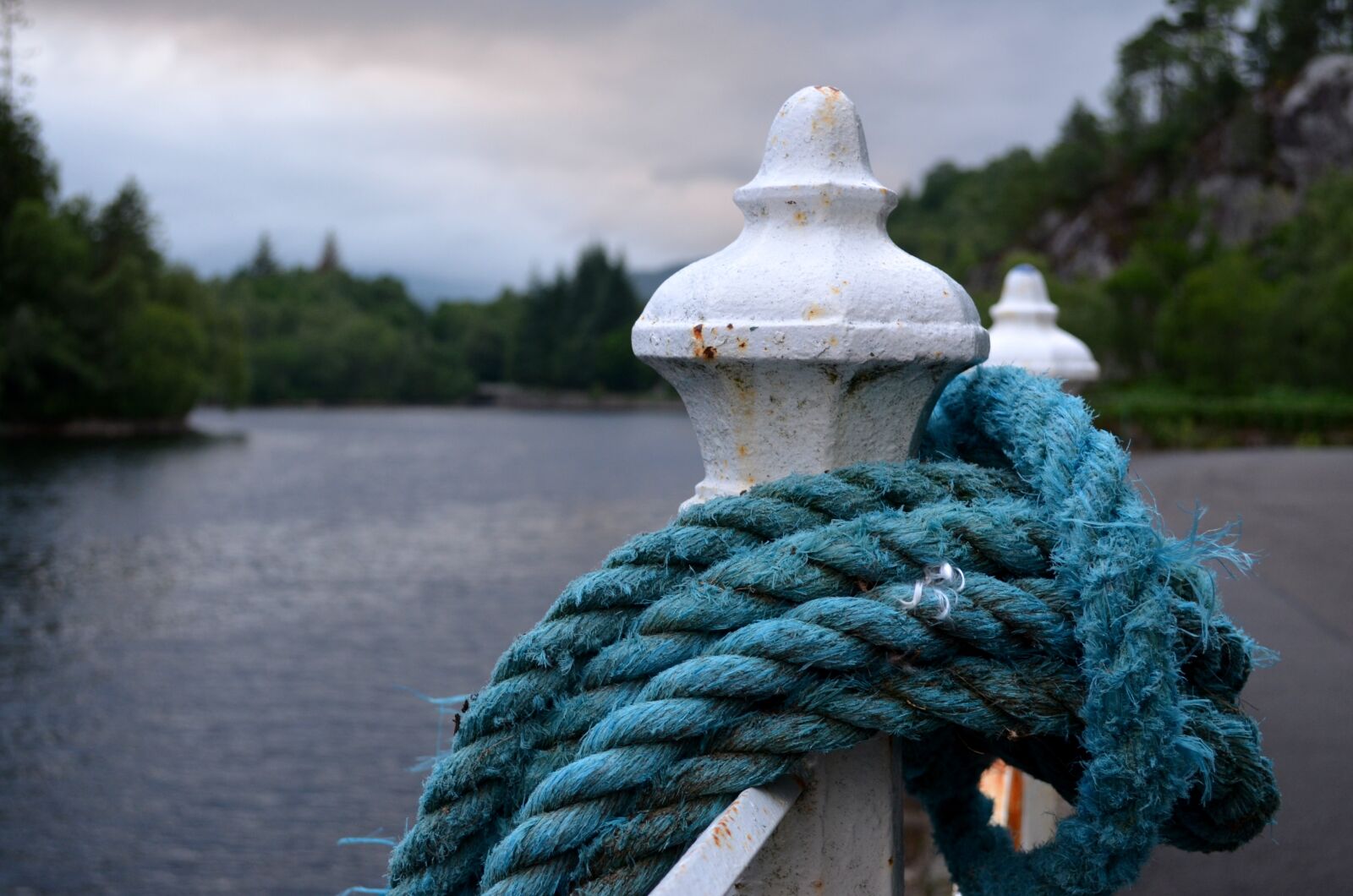 Nikon D5100 sample photo. Dew, rope, twisted ropes photography