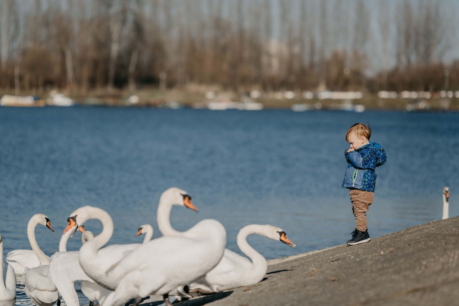 Canon EF 135mm F2L USM sample photo. Baby, boy, toddler, swan photography