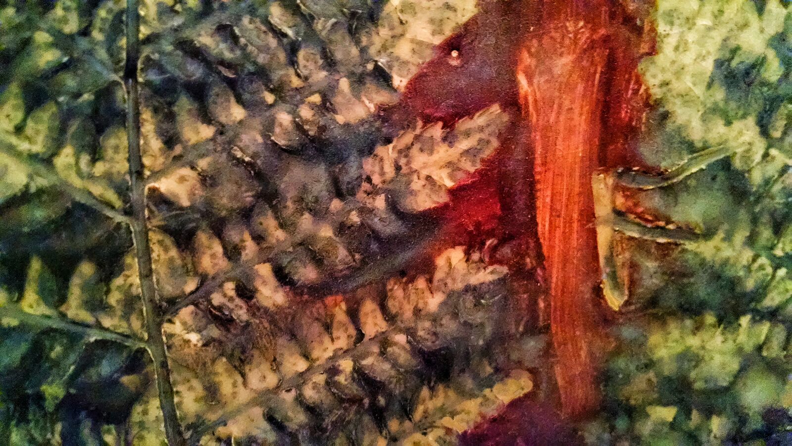 Motorola Moto X (1st Gen) sample photo. Colors, pottery, texture photography