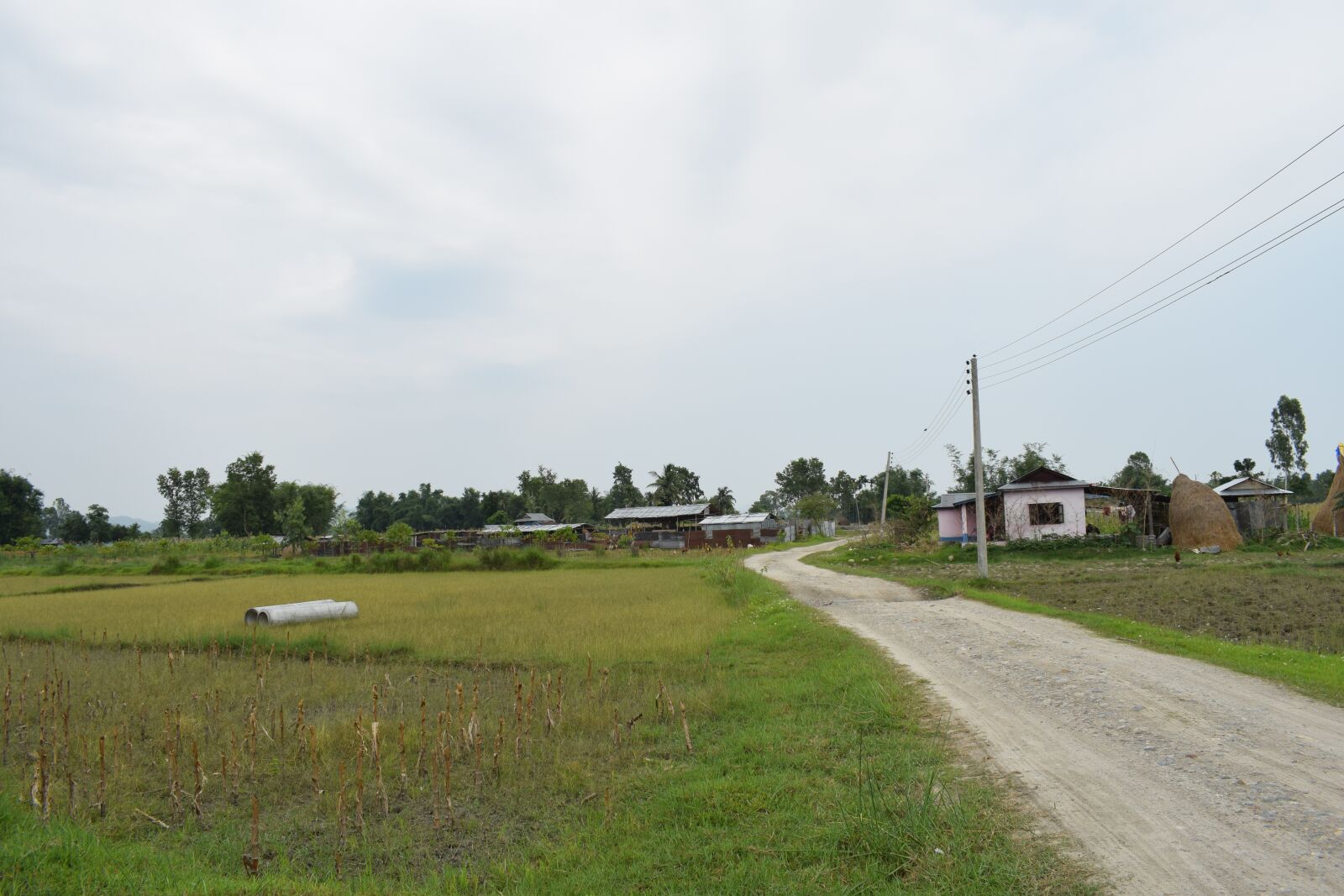 Nikon D5300 sample photo. Local road, gravel road photography
