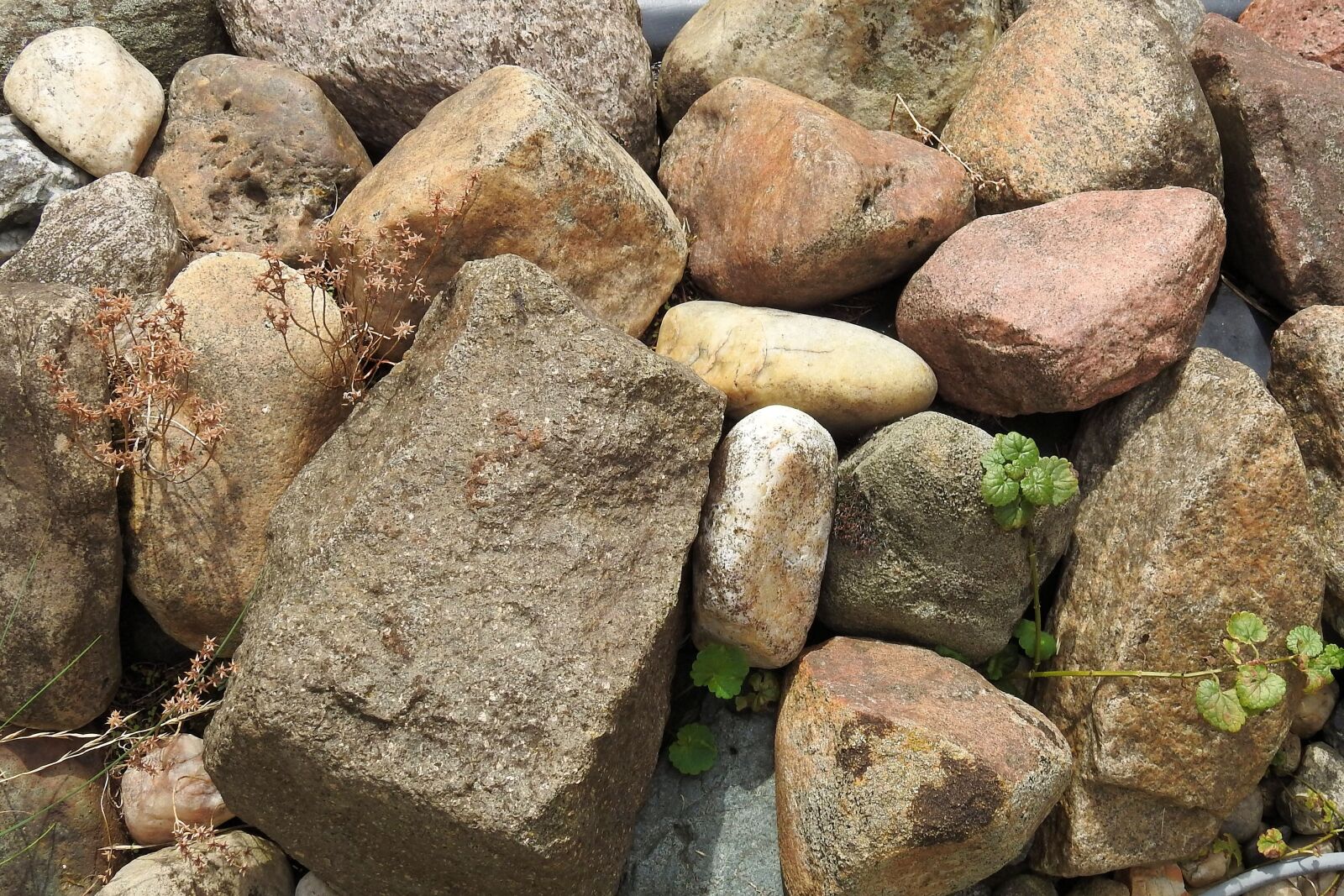 Nikon Coolpix P900 sample photo. Stones, shore stones, lakeside photography