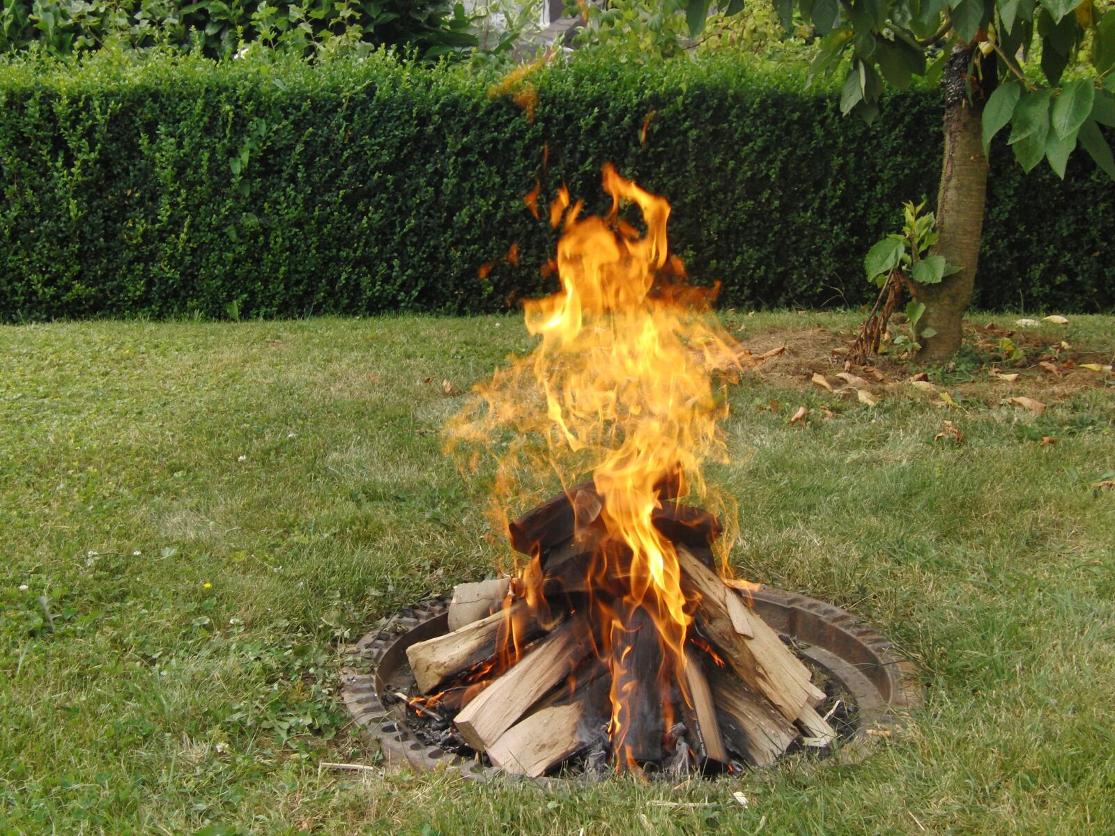 CASIO EX-FH20 sample photo. Grill fire, barbecue, fireplace photography