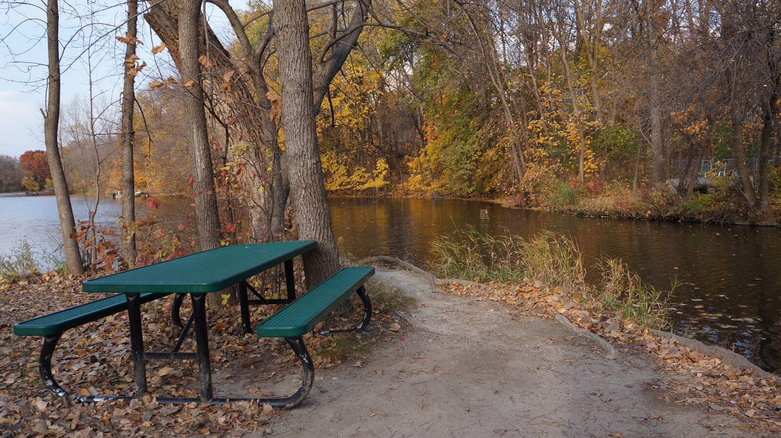 Sony Alpha NEX-5N sample photo. Fall, campsite, three rivers photography
