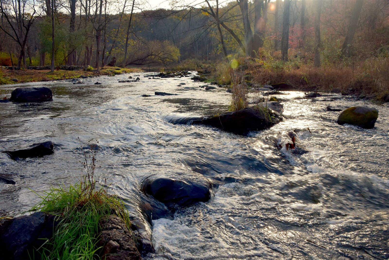 Nikon D3300 sample photo. Stream, rocks, water photography