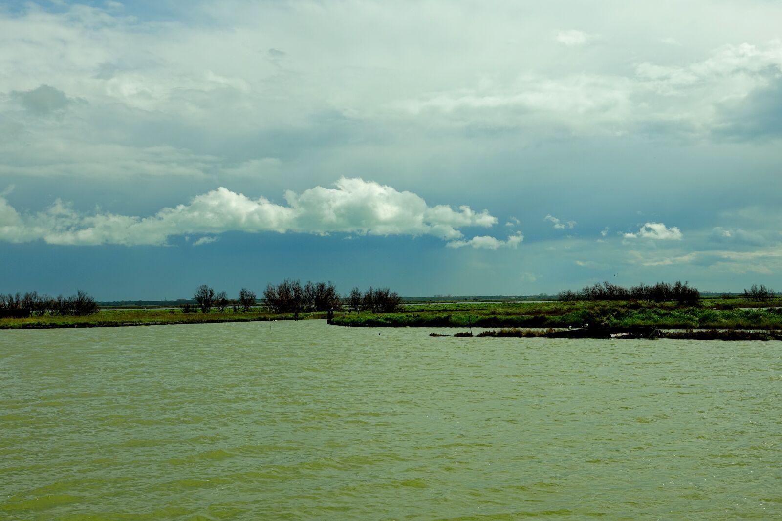 Sony Cyber-shot DSC-RX10 III sample photo. Tree, panorama, waters photography
