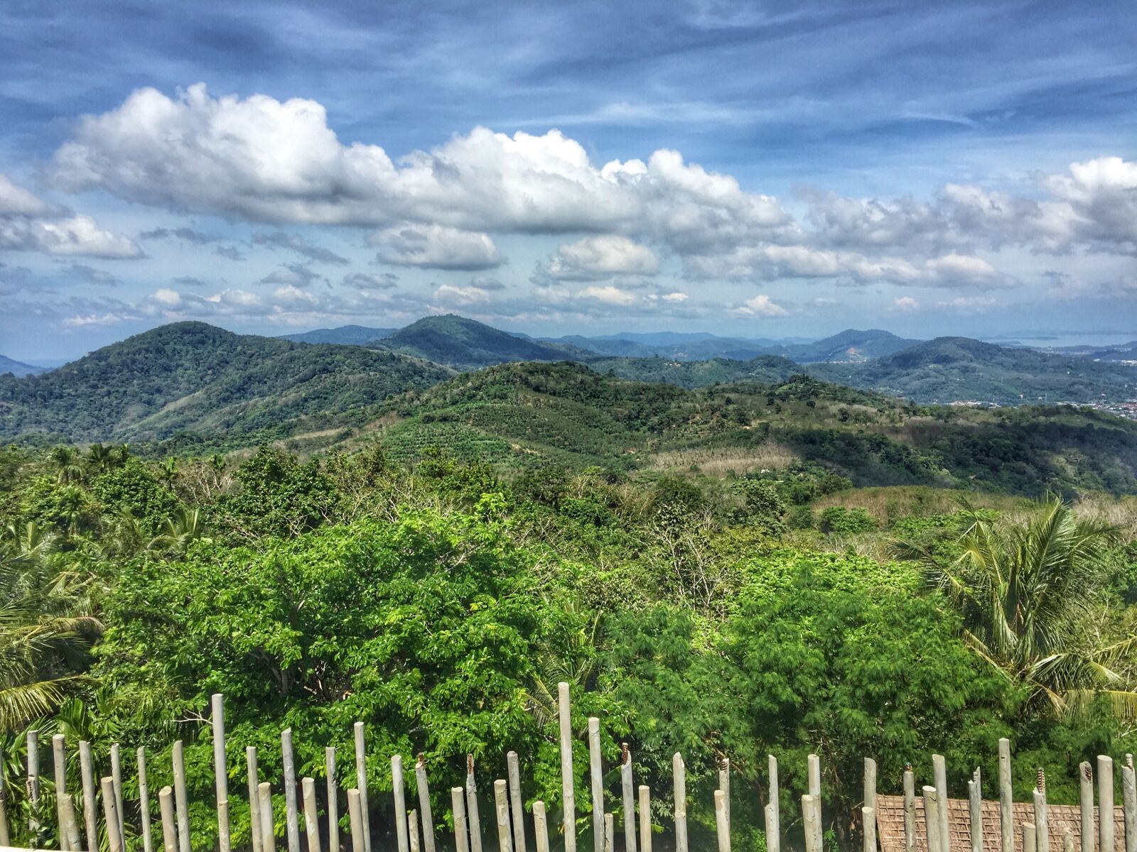 Apple iPhone 6 sample photo. Jungle, thailand, nature photography