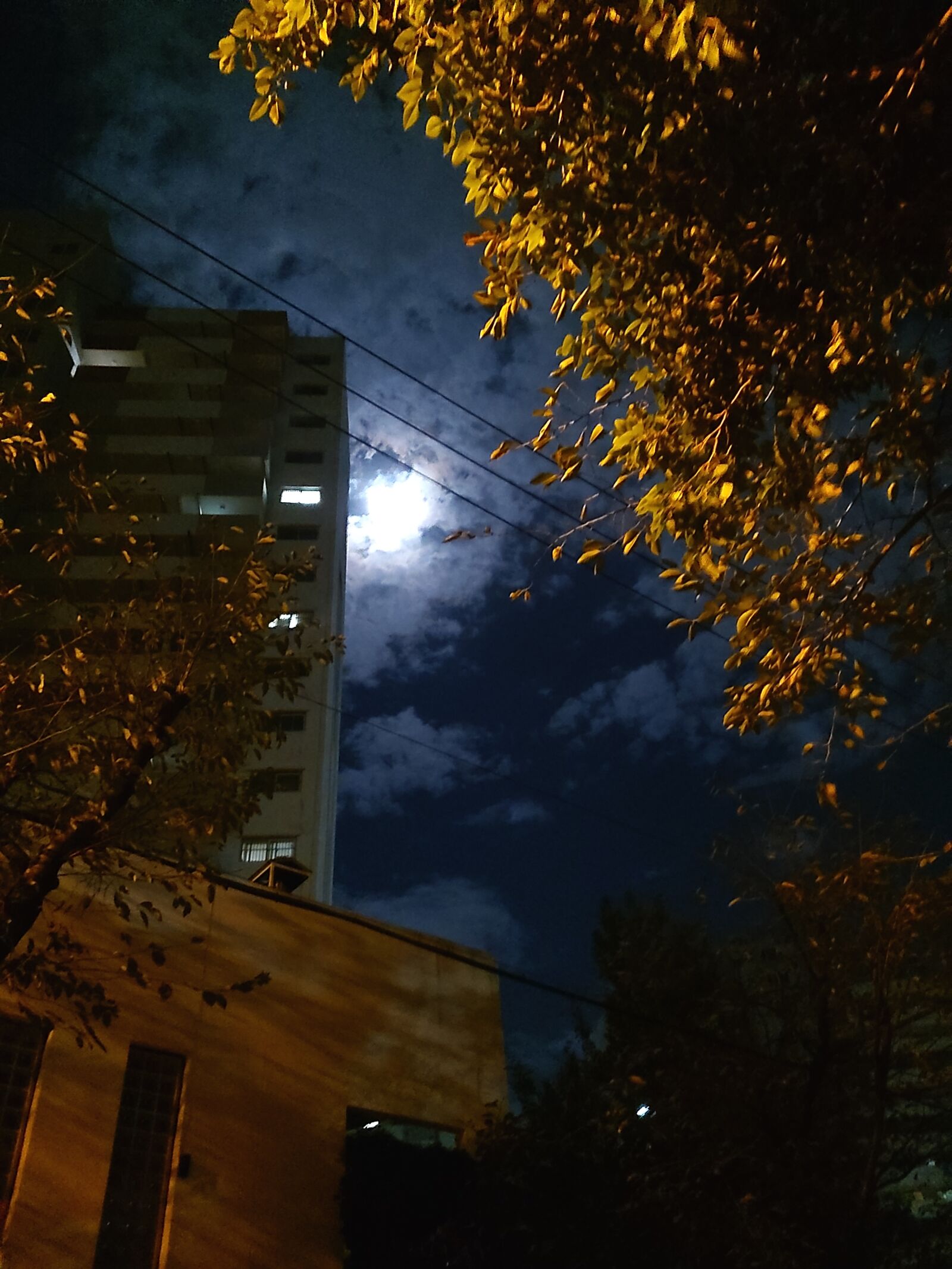 Samsung Galaxy A9 Pro sample photo. Moonlight, moon, maple photography