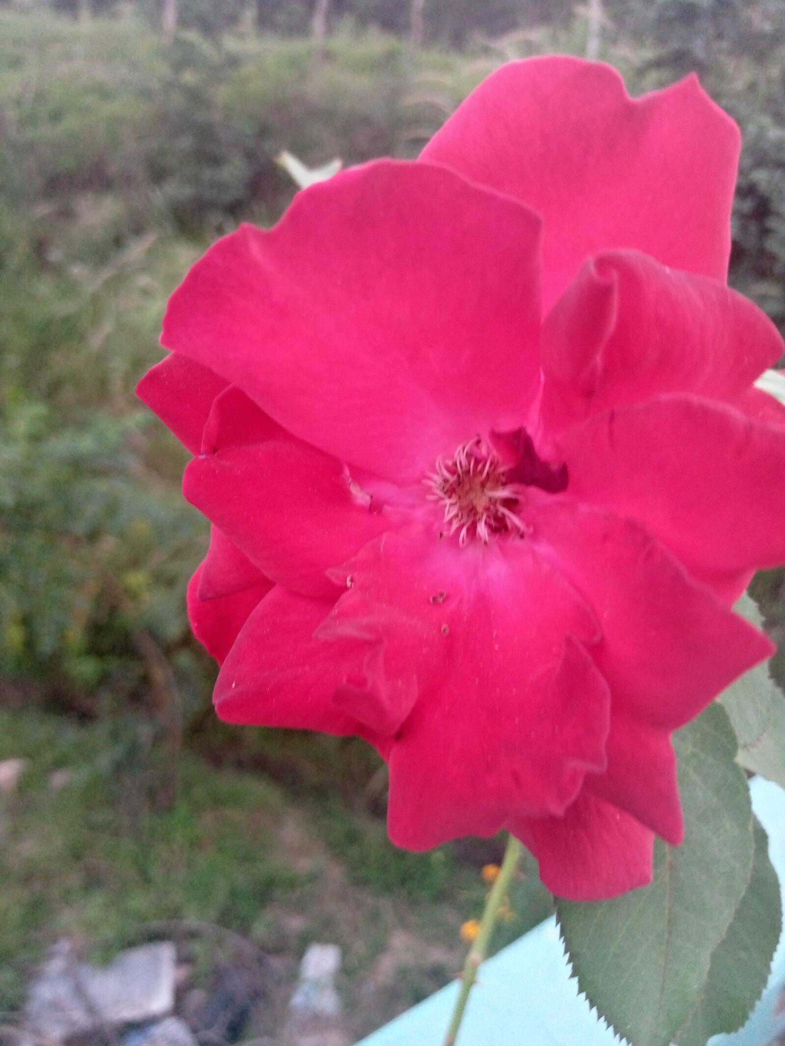 TECNO MOBILE LIMITED TECNO KC2 sample photo