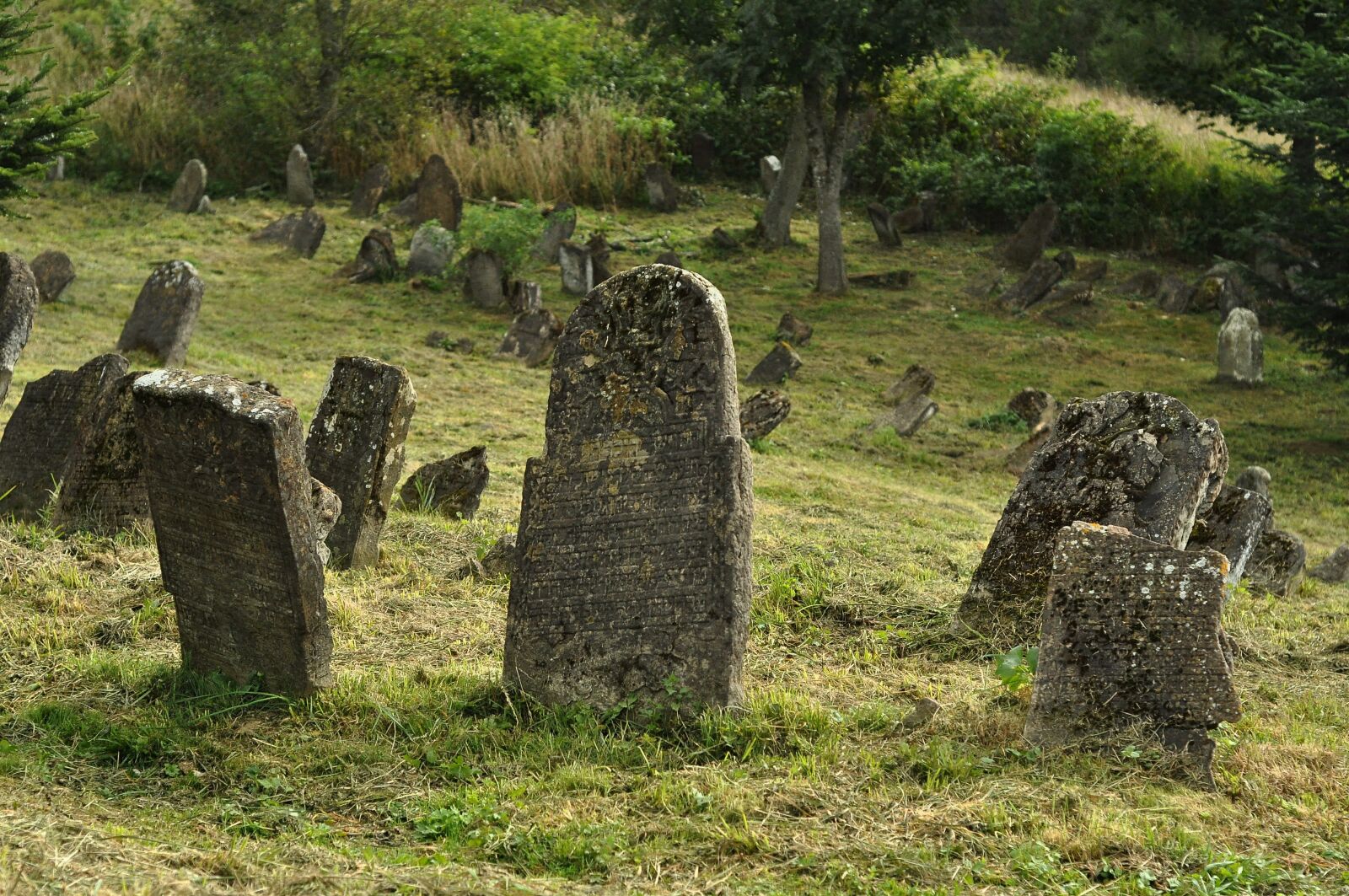 Nikon D90 sample photo. Cemetery, jewish cemetery, lutowiska photography
