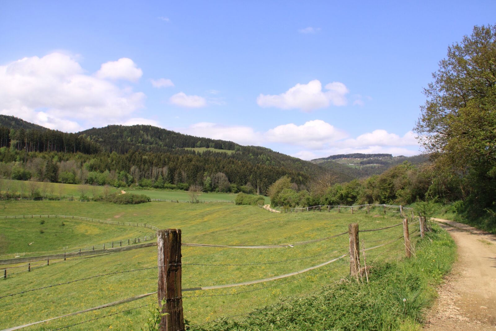 Canon EOS 50D sample photo. Landscape, meadow, summer photography