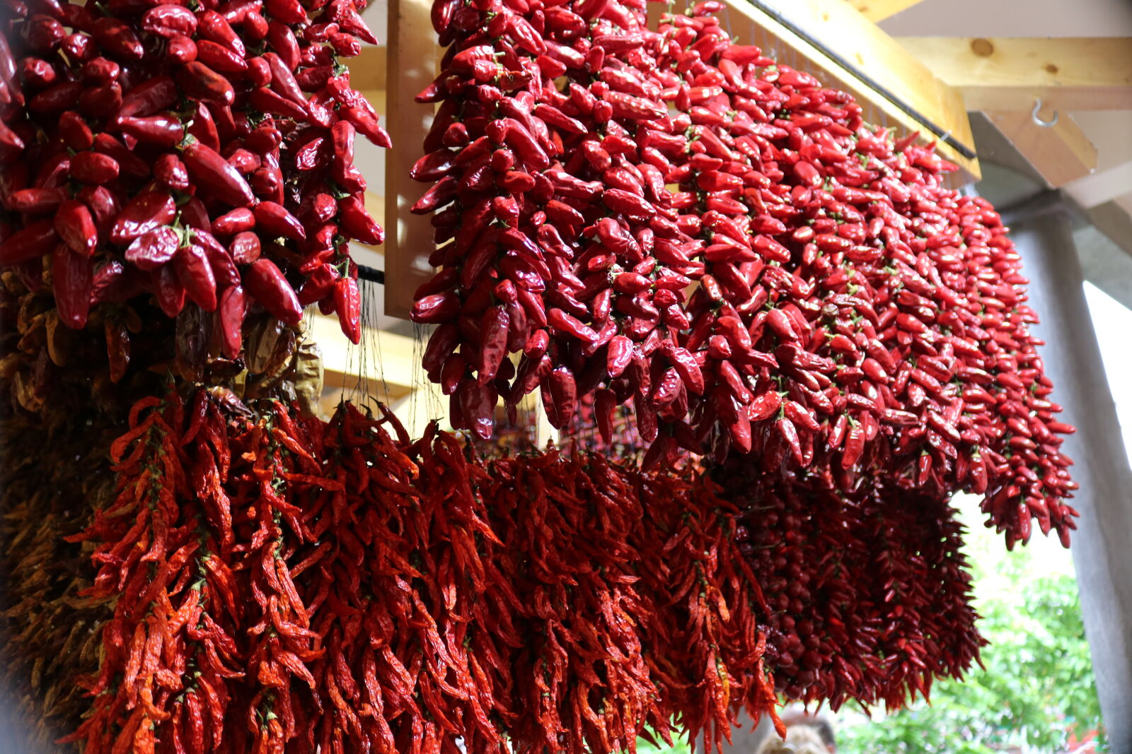 Canon EOS 750D (EOS Rebel T6i / EOS Kiss X8i) sample photo. Chili, peppers photography