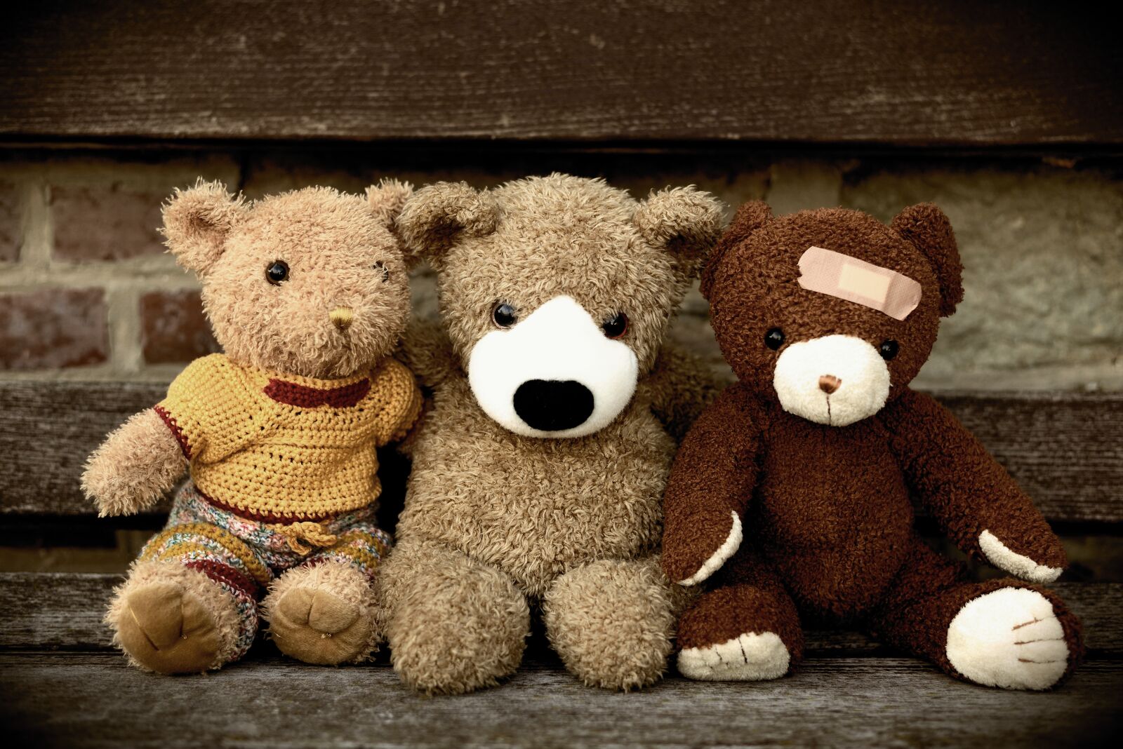 Nikon D610 sample photo. Teddy, teddy bear, bears photography