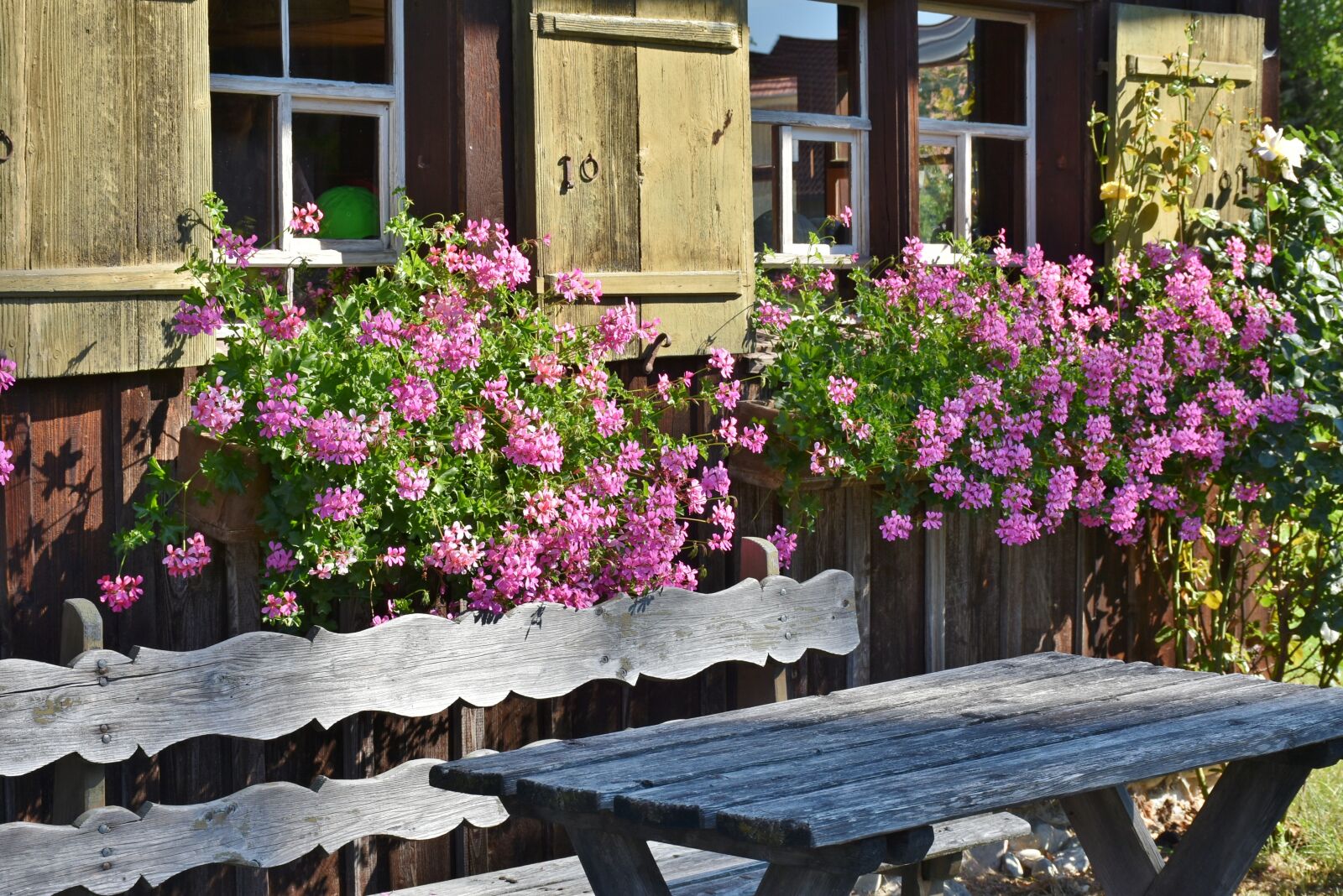 Nikon D7200 sample photo. Farm, floral decorations, window photography