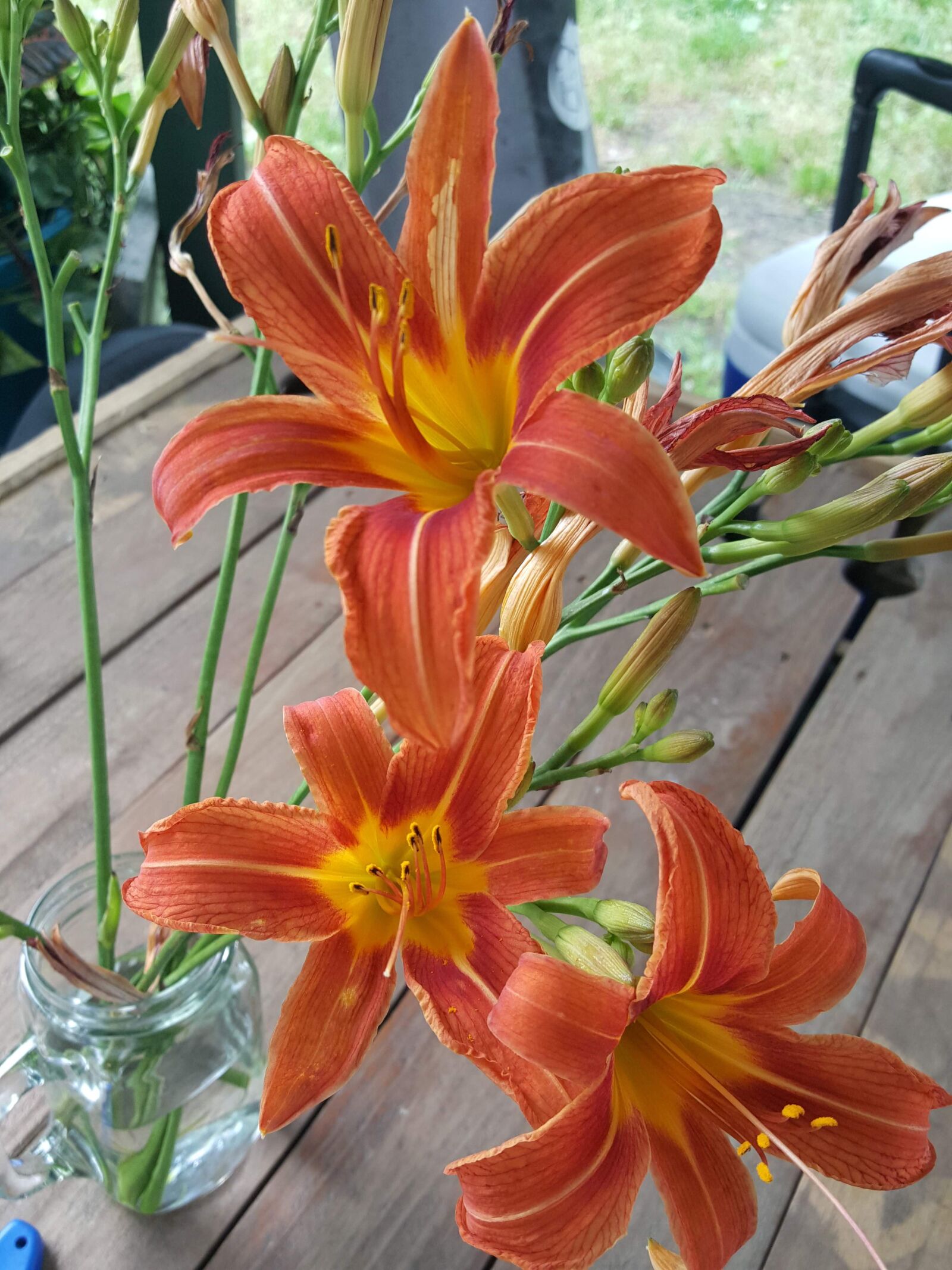 Samsung Galaxy Note5 sample photo. Flowers, lilies, tiger lily photography